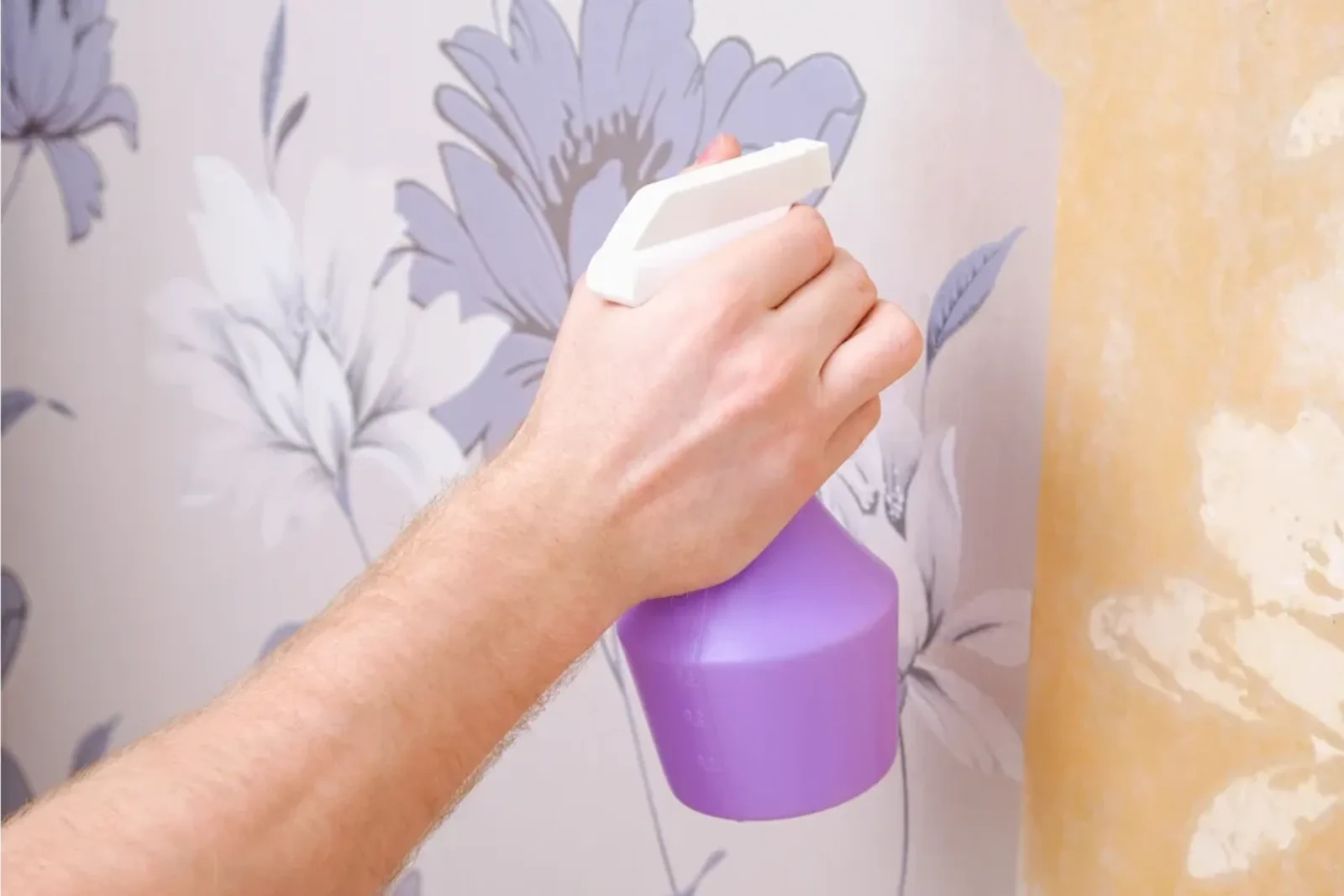 How To Maintain And Clean Your Wallpaper Properly