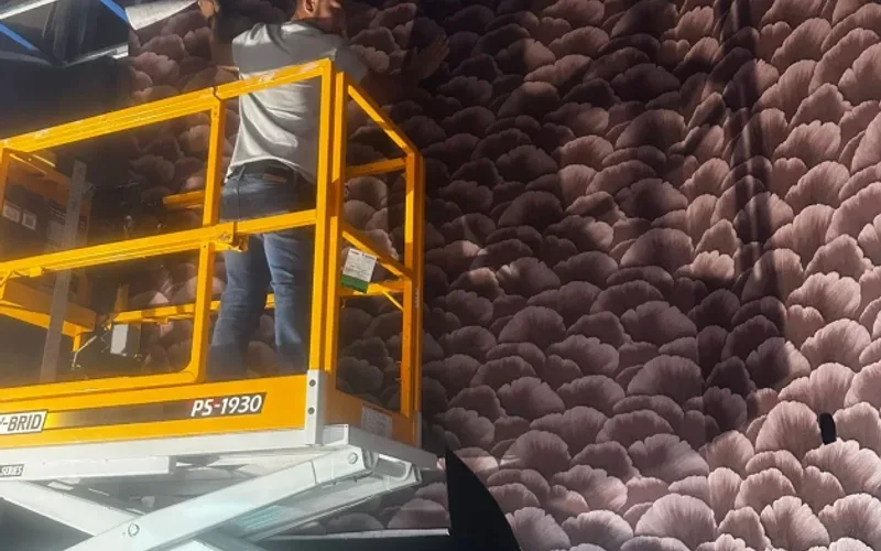 Retail & commercial wallpaper installation by RCP Wallpaper